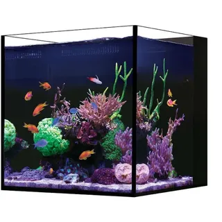 Red Sea Desktop Aquarium Set Cube