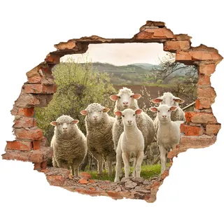 WallSpirit WCB Wandtattoo - Wanddurchbruch mit Aussicht auf Schafe 90 x 74 cm - Wandaufkleber