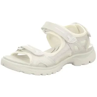 white 37