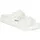 White 41