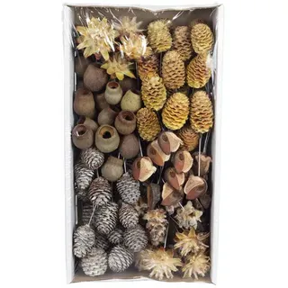 Flowerbox Trockenblumen - beige