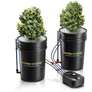 5-Gallon dwc Hydrokultur Toolkit mit 2-Zylindern und 8-W Luftpumpe Mars Hydro