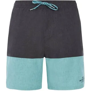 Protest Herren Badeshorts PRTFreddie, Arcticgreen, XL