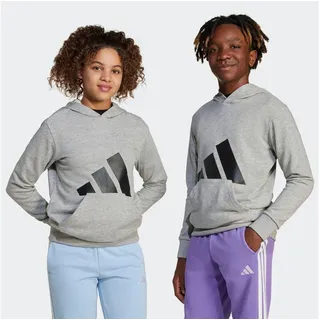 Adidas Essentials Big Logo Kapuzenpullover Medium Grey Heather / Black 164