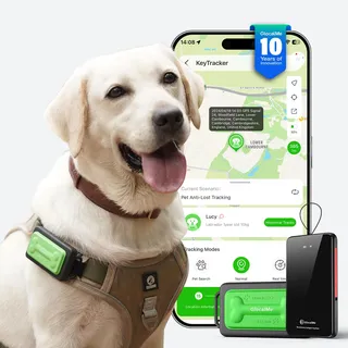 GlocalMe KeyTracker für Hunde, Globaler GPS-Tracker mit 6 Ortungstechniken, 4G LTE Smart-Tracker, Live-Ortung, Positionsverlauf, Aktivitätstracking, Hundefreundliches Design