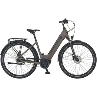 3.3 28 Zoll RH 48 cm Matt Bronze