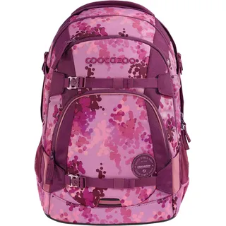 cherry blossom