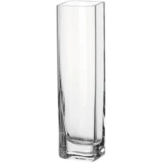 30 cm transparent