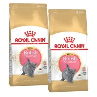 Kitten British Shorthair 2 x 10 kg