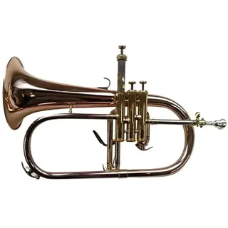 SYMPHONIE WESTERWALD® Flügelhorn, Konzertflügelhorn in B, Goldmessing, Monelventile, Perinetventile