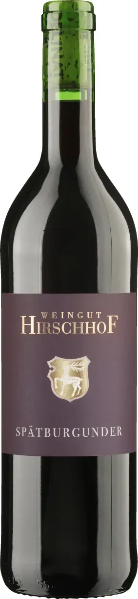 Spätburgunder Qualitätswein Rheinhessen 2024, Bio Rotwein, Biowein