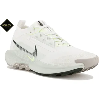 Nike Pegasus Trail 5 Gore-Tex Herren Laufschuhe Herren - Blanc - 42