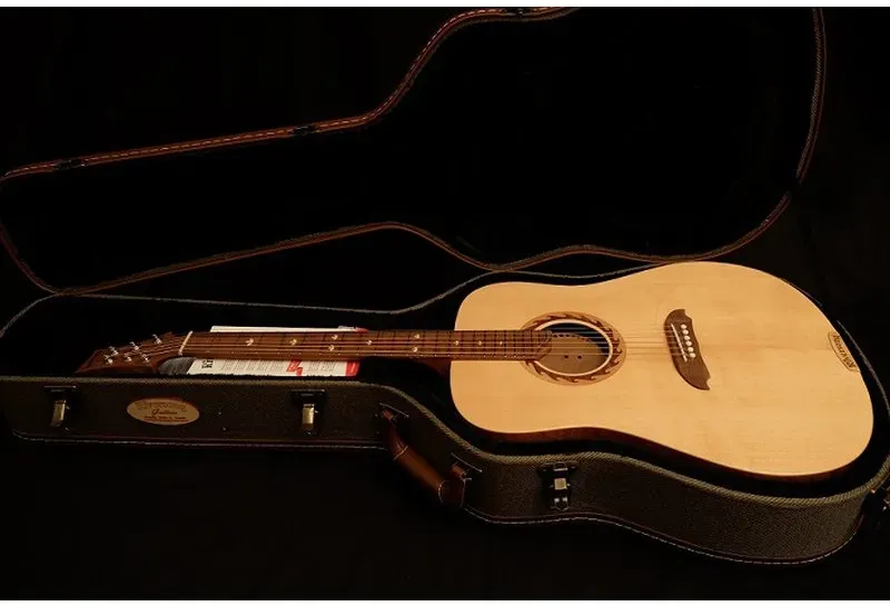 Riversong Guitars Tradition CANADIAN ARTIST Dreadnought w. solid flamespruce