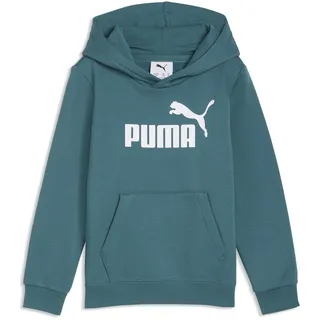 Puma Hoodie Emerald 98