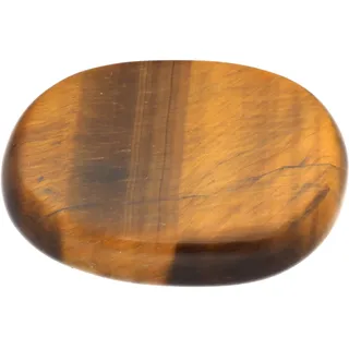 Edelstein Scheibenstein 3-5 cm + Edelsteinkarte | Handschmeichler Taschenstein Massagestein | Lebensquelle Plus (Tigerauge)