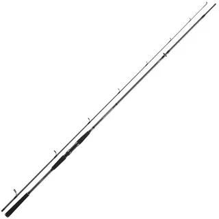Daiwa Seahunter X Sea Trout 1022ML, 2 Teile, 3,10m, 10-40g, Meeresangelrute, 11533-312