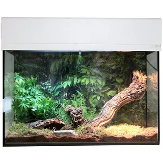 Lucky Reptile Starter Kit Vogelspinne/Skorpion, Farbe:Weiß