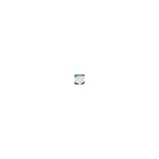 Herren White/Restful Teal 46