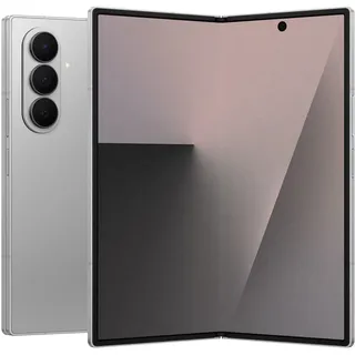 12 GB RAM 256 GB Silver Shadow