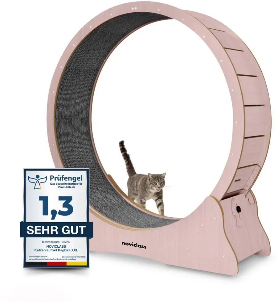 Noviclass Katzenlaufrad Baghira Groß