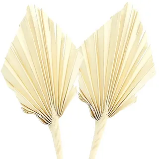 Trockenblume Palmspear gebleicht 20 St – Elegante Naturdeko für Trauerfloristik &, Viana, Höhe 1.0 cm