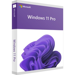 Microsoft Windows 11 Pro 64-Bit EN