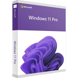 Microsoft Windows 11 Pro ESD + PKC ML