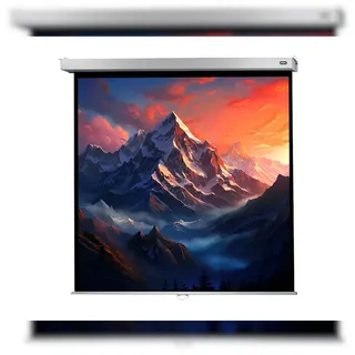 Celexon Rollo Professional Plus 160x160 1:1