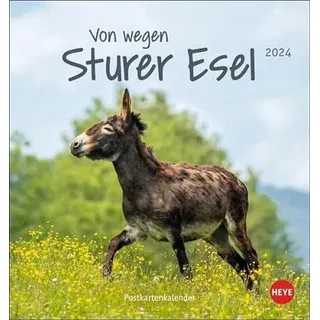 Esel - Von wegen sturer Esel Postkartenkalender 2024. Kleiner Kalender zum Aufstellen und Aufhängen im Postkartenformat. Monats-Tischkalender für Tierfreunde.: Von wegen sturer Esel