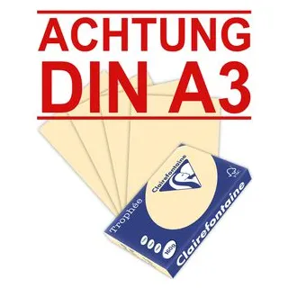 A3 160g/m² 250 Blatt chamois