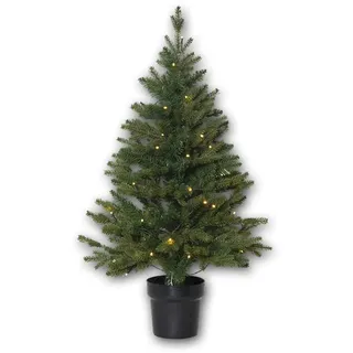 Star Trading Weihnachtsbaum