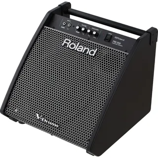 Roland PM-200 Monitor System
