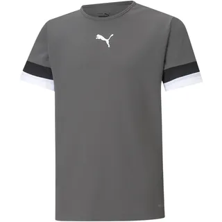 Puma Teamrise Jersey Jr Shirt, Smoked Pearl-puma Black-puma White, 140