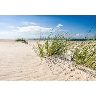 Papermoon Fototapete PAPERMOON "DÜNEN-NATUR NORD SEE SAND STRAND MEER WÜSTE LANDSCHAFT", bunt, B:2,5m L:1,86m, Vlies, Tapeten