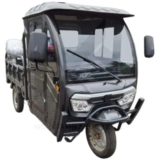 CARGO TRIKE 3000W 72V 2x 58AH Vollkabine VOLTA VT5 50km Lastendreirad 25kmh Grau