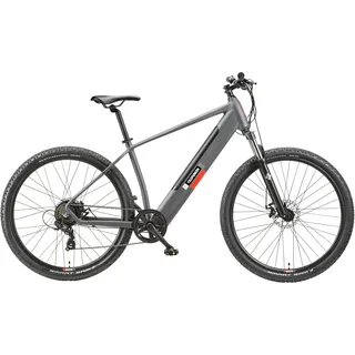 Telefunken E-MTB Aufsteiger M919 2023 29 Zoll RH 48 cm grau