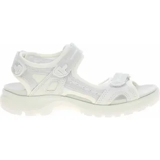 white 37
