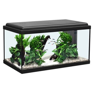 Aquatlantis Advance 60 LED schwarz