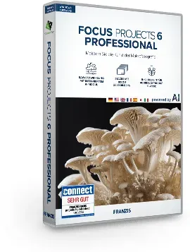 FOCUS projects 6 professional