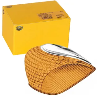 Hella 2BA 001 244-001 Blinkleuchte - hinten/links/rechts/vorne