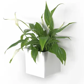 KalaMitica - Magnetischer Würfel 9,5 cm - Weiß - Magnetischer Behälter, Stift-/Markerhalter oder Blumentopf mit starkem Magneten für Magnettafel/Whiteboard/Kühlschrank