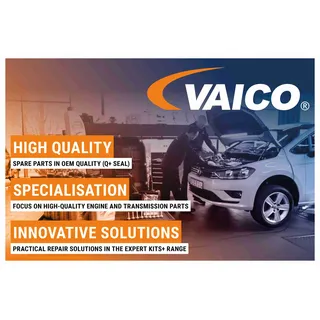 VAICO Hydraulikfilter, Lamellenkupplung-Allradantrieb EXPERT KITS + V10-6662