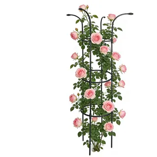 Palaufr Garten-Schirm-Spalier | Dekorative vertikale Rankhilfe rostfrei stabil | Rankgerüst für Außen | für Rosen Clematis Drachenfrucht Gurken