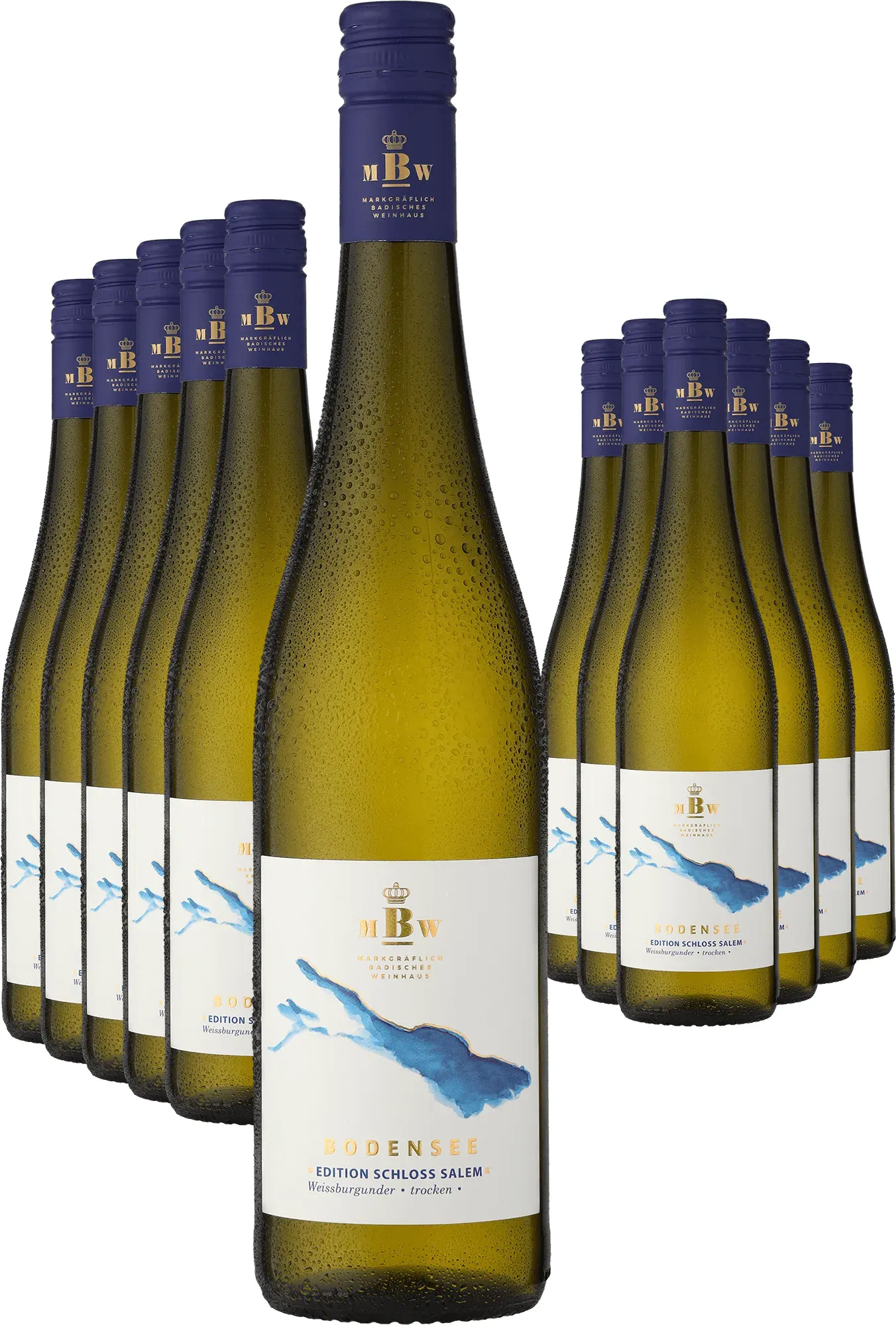 6+6-PAKET Markgräflich Badisches Weinhaus Bodensee »Edition Schloss Salem« Weißburgunder 2025