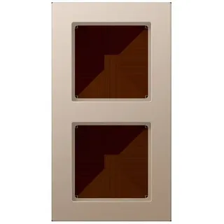 Jung Rahmen 2fach A 5582 BF CH