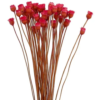 VONGLYHOO Trockenblumenstrauß - Naturtrockenblumen Dekoration in Vase, 50 Stängel, Rot, Drinnen, Draußen