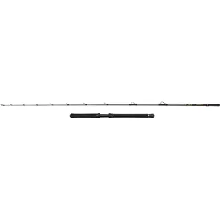 Penn Regiment IV Halibuster Spinnrute - Silver - 2.40 m - 20-30 Lbs