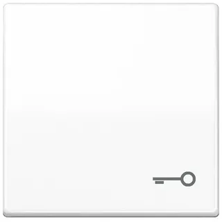 Jung Wippe Symbol TÜR aws für Taster AS 591 T WW