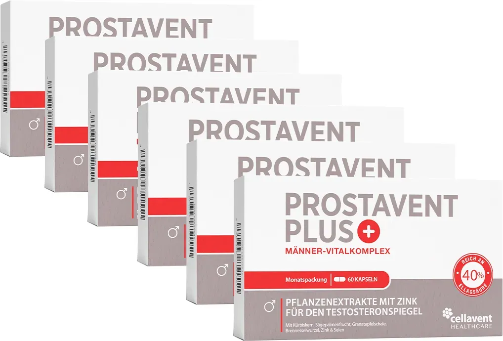 Prostata Komplex Kapseln - Prostavent PLUS 6 Monate