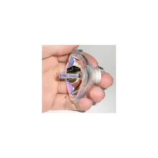 Nackte Lampe EPSON EH-TW9200 NLMP20695